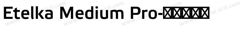 Etelka Medium Pro字体转换